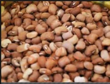 beans.webp
