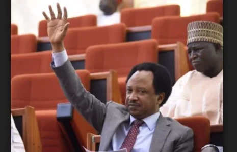 Sani Shehu.webp Sani Shehu.webp