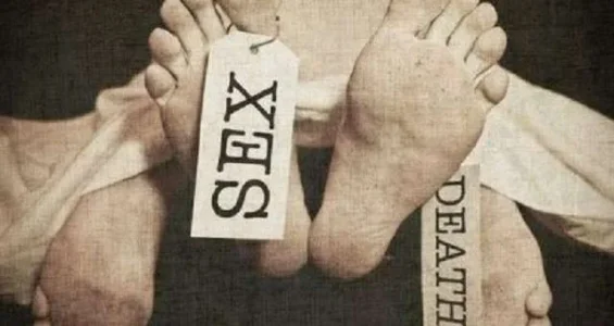 sex death.webp