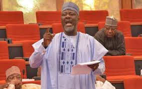 dino melaye3.jpg