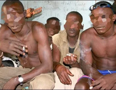 indian hemp festival.webp indian hemp festival.webp