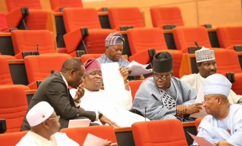 senators.webp