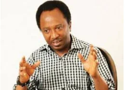 shehu sani.webp