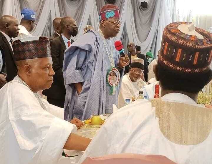pmnewsnigeria.com