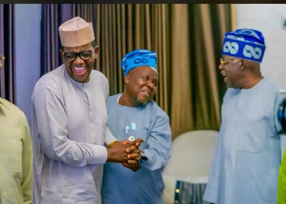 pmnewsnigeria.com