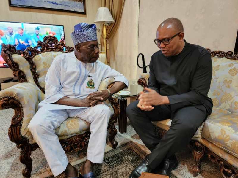 pmnewsnigeria.com