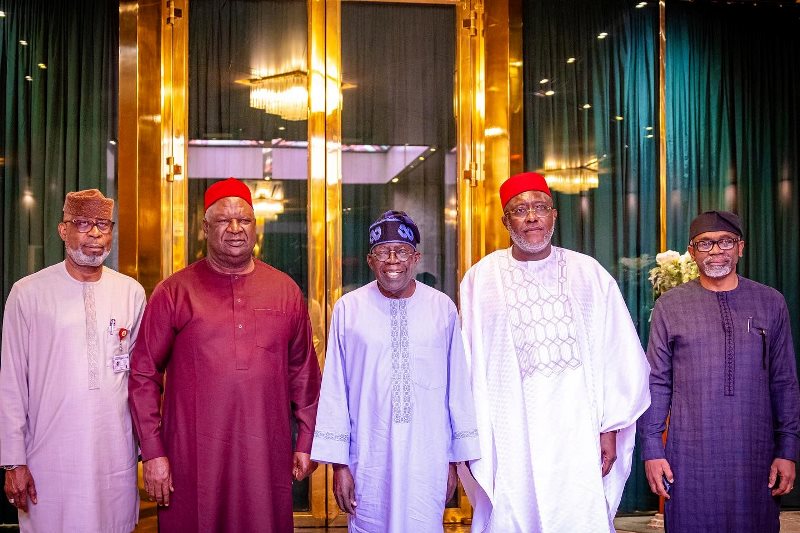 pmnewsnigeria.com